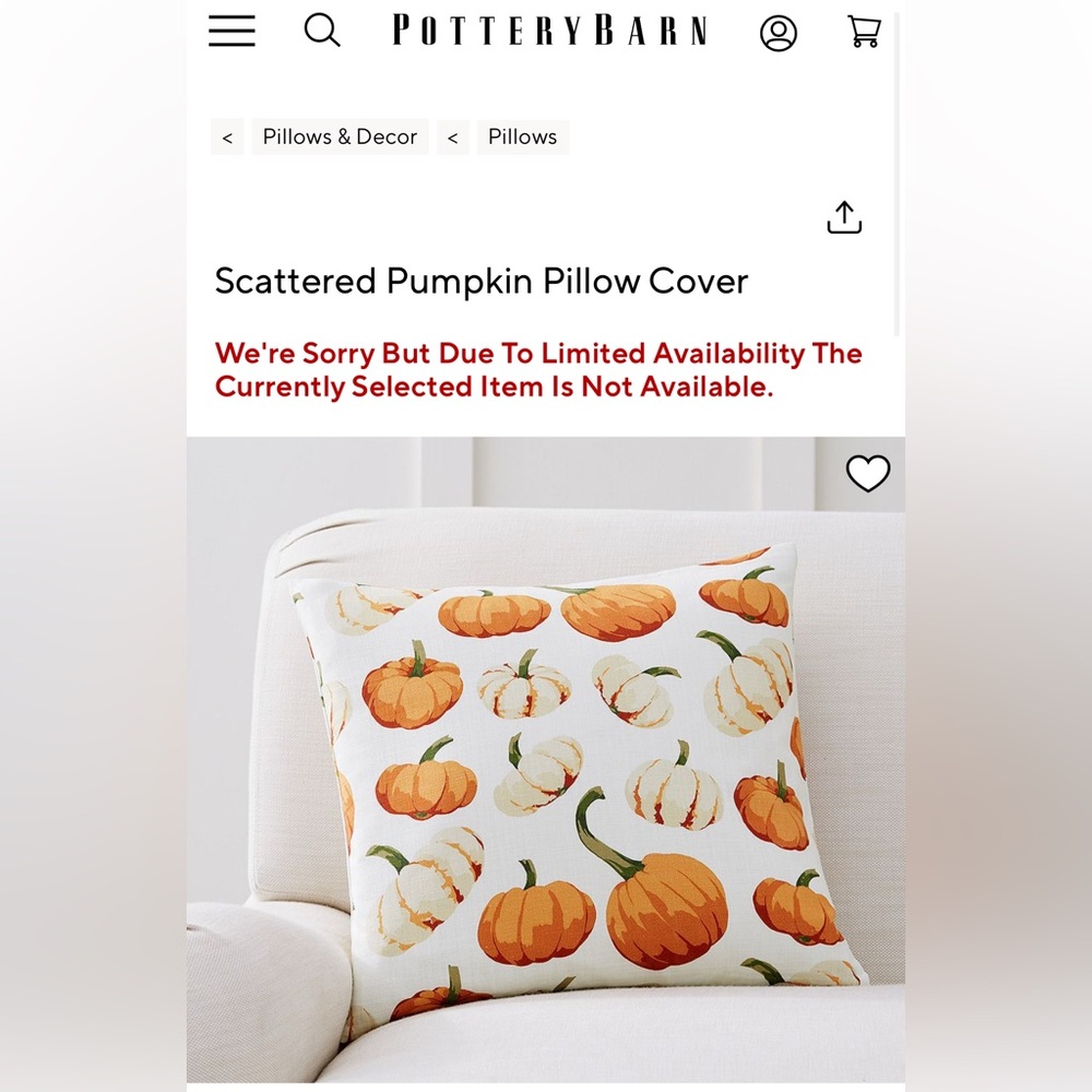 3 new Pottery Barn Pumpkin Print Pillow Covers for fall Autumn